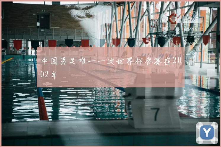中国男足唯一一次世界杯参赛在2002年