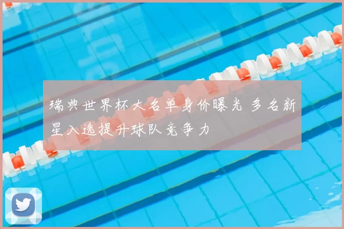 瑞典世界杯大名单身价曝光 多名新星入选提升球队竞争力