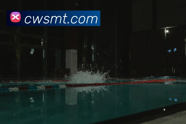 多媒体互动体验